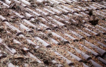 Portchester roof cleaning companies